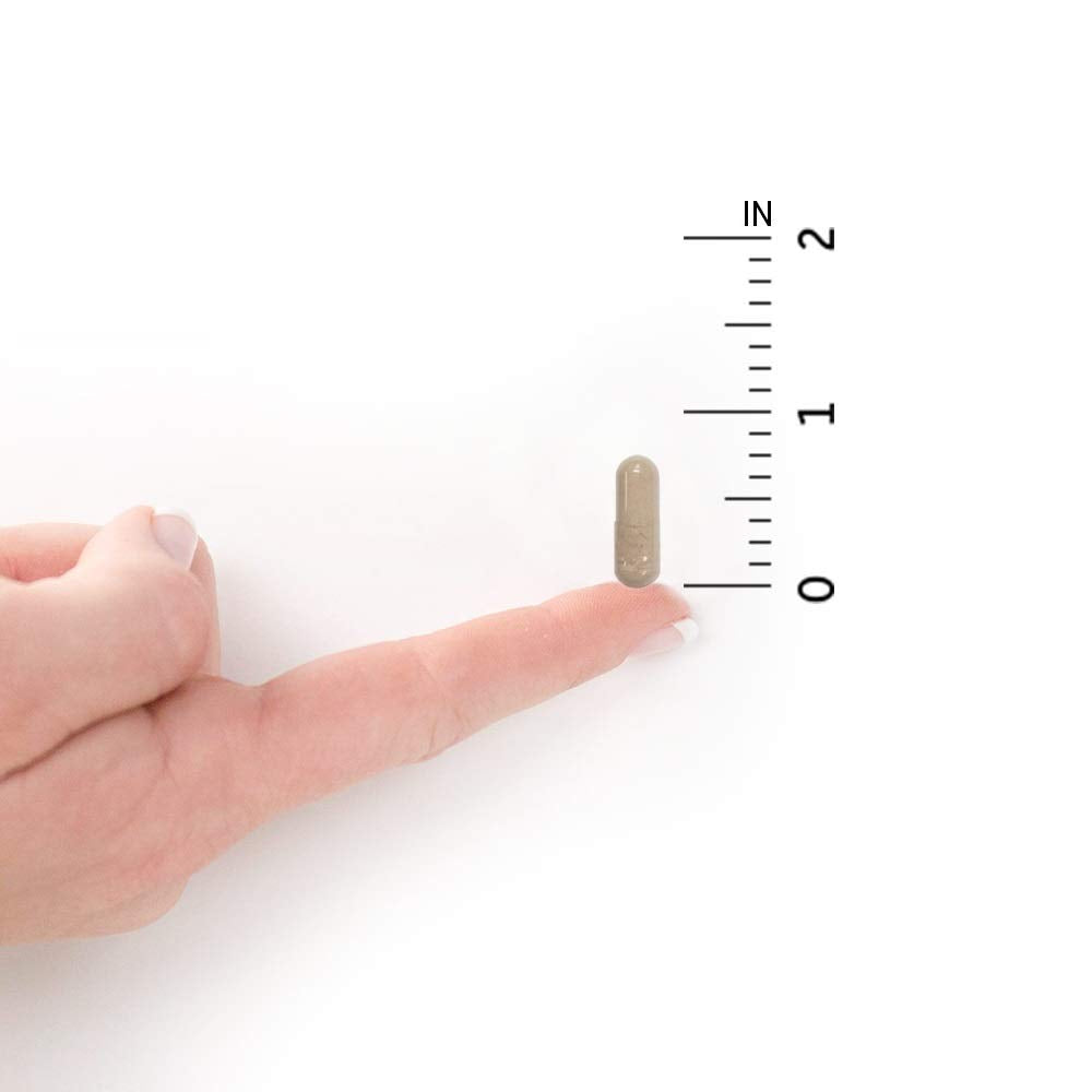 Garden of Life Vitamin Code Raw One for Men, Once Daily Multivitamin, 75 Capsules, One a Day Mens Vitamins Plus Fruit, Veggies & Probiotics for Mens Health, Vegetarian Multivitamins