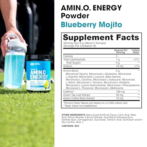 Optimum Nutrition Amino Energy - Pre Workout with Green Tea, BCAA, Amino Acids, Keto Friendly, Green Coffee Extract, Energy Powder - Watermelon, 30 Servings (Packaging May Vary)
