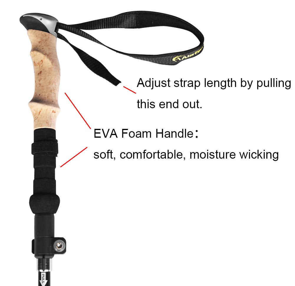 Aluminum Collapsible Ultralight Travel Trekking Hiking Pole for Men and Women (Fits 5'3" - 6'2")