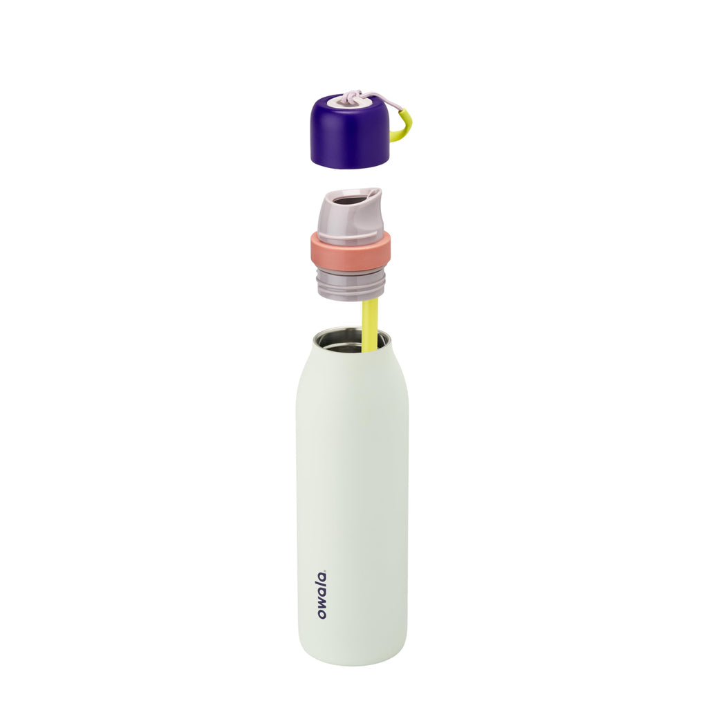 Owala FreeSip Twist Insulated Stainless Steel Water Bottle with Straw for Sports and Travel, BPA-Free, 24-oz, Purple/Purple (California Grapevine)