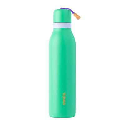 Owala FreeSip Twist Insulated Stainless Steel Water Bottle with Straw for Sports and Travel, BPA-Free, 24-oz, Purple/Purple (California Grapevine)