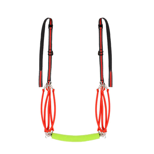 Home Gym Pull-Up and Resistance System
