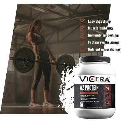 A2 Protein Powder, Peppermint Milkshake, 25 G Protein per Serving, Organic A2/A2 Whey Casein Blend With Probiotics and Celtic Sea Salt, Gluten Free Workout Supplement, Non GMO, 20 Serv, 27.4 Oz