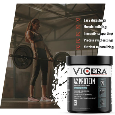 A2 Protein Powder, Peppermint Milkshake, 25 G Protein per Serving, Organic A2/A2 Whey Casein Blend With Probiotics and Celtic Sea Salt, Gluten Free Workout Supplement, Non GMO, 20 Serv, 27.4 Oz