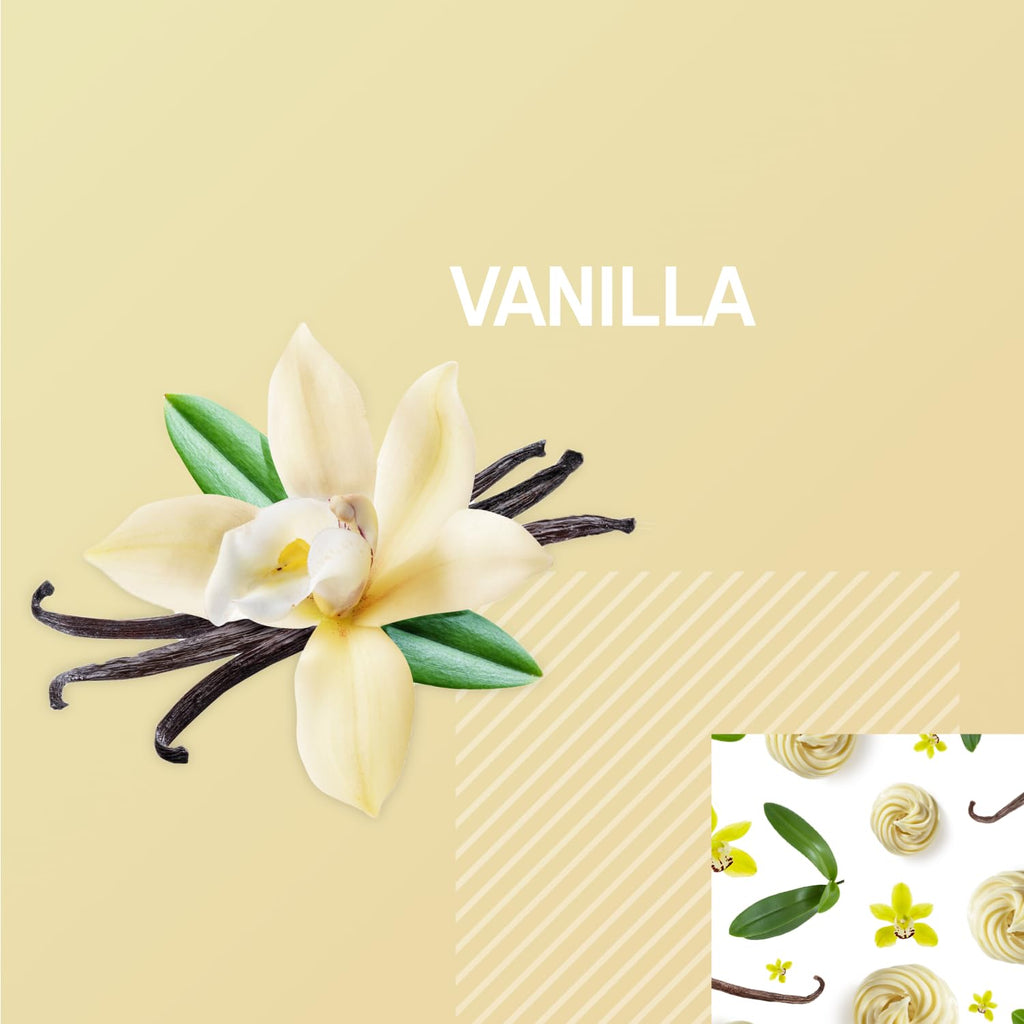 Optimum Nutrition Gold Standard Protein Shake, 24g Protein, Ready to Drink Protein Drinks, Chocolate, 11 Fl Oz, 12 Count (Pack of 1) (Packaging May Vary)