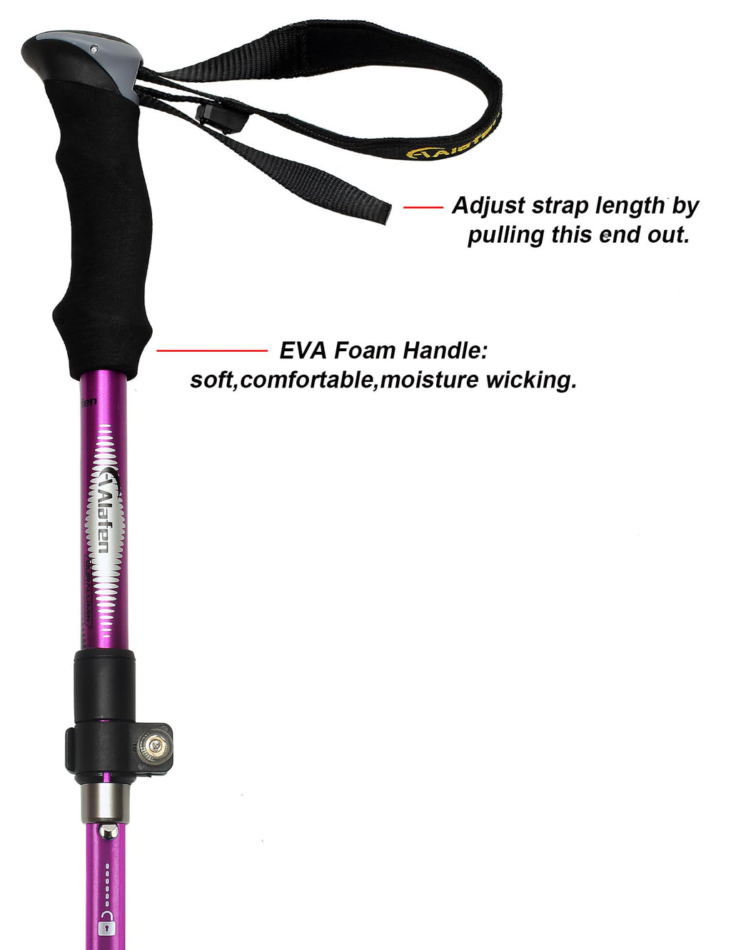 Aluminum Collapsible Ultralight Travel Trekking Hiking Pole for Men and Women (Fits 5'3" - 6'2")