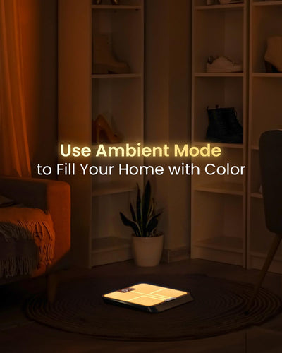 RENPHO Smart Scale for Body Weight, Weight Scale with 7-in-1 Large Display for BMI, Body Fat, Muscle Mass, 13 Body Composition, High Accurate Bluetooth Scale, 500lbs, 11.8", Elis 2XL