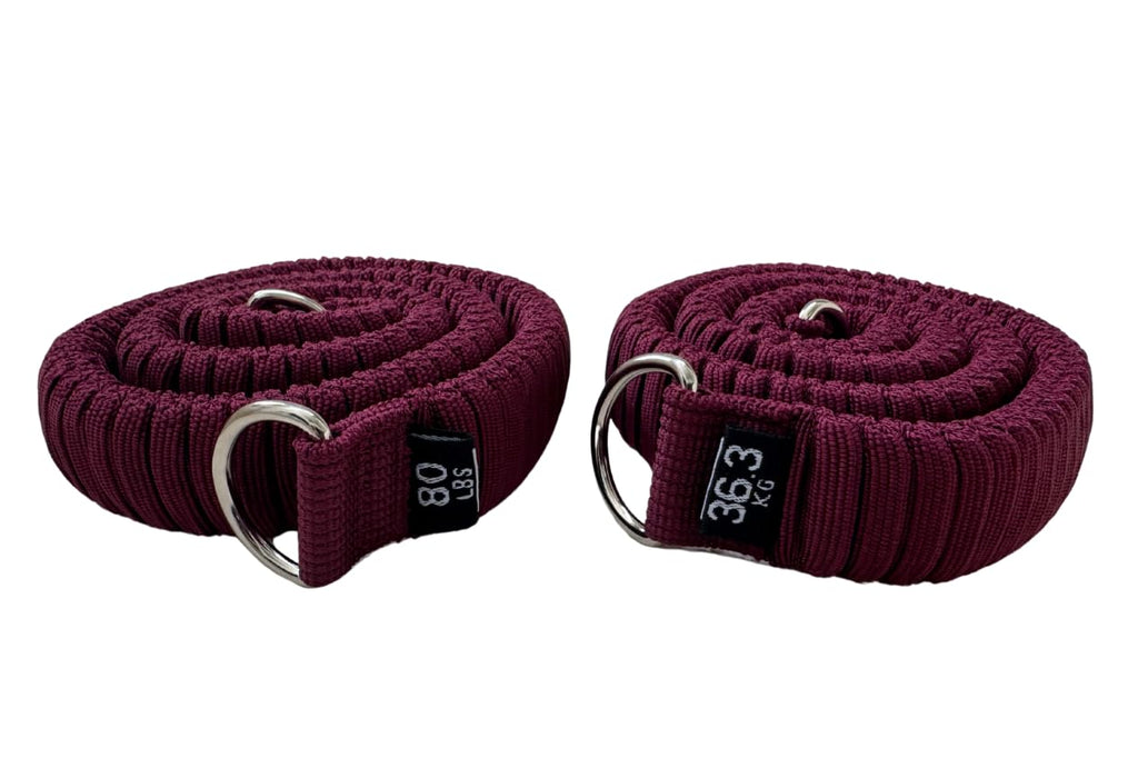 STAERK Pilates Suspension Training System - Premium Resistance Training Kit - At-Home Pilates for Strength & Flexibility - Resistance Bands Set for Home Gym, Travel, and Outdoors