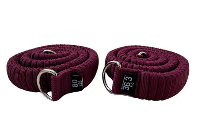 STAERK Pilates Suspension Training System - Premium Resistance Training Kit - At-Home Pilates for Strength & Flexibility - Resistance Bands Set for Home Gym, Travel, and Outdoors