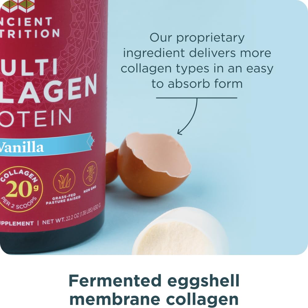 Ancient Nutrition Collagen Powder Protein with Probiotics, Unflavored Multi Collagen Protein with Vitamin C, 45 Servings, Hydrolyzed Collagen Peptides Supports Skin and Nails, Gut Health, 16oz