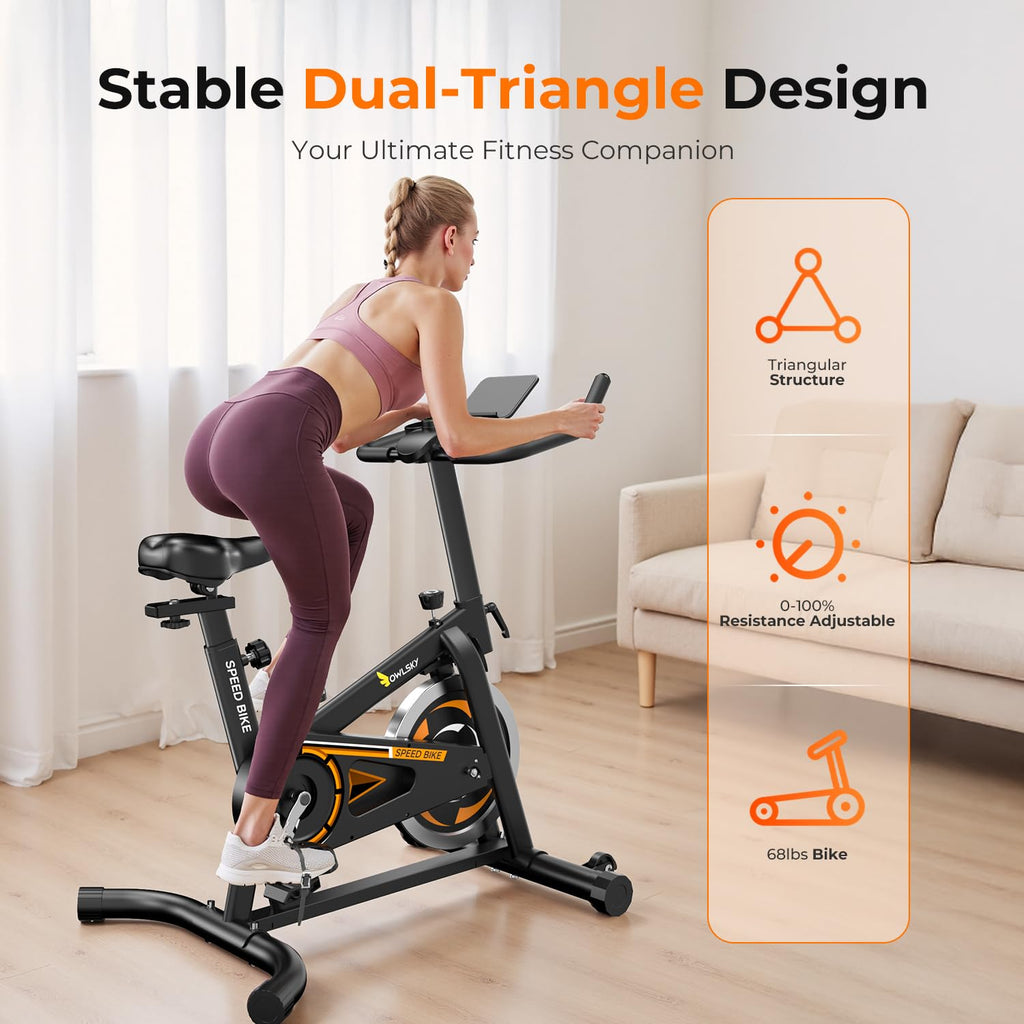 OWLSKY Exercise Bike with APP, Magnetic Resistance Indoor Cycling Bike, 300 lbs Capacity Quiet Stationary Bike for Home Gym Cardio Workout, Adjustable Seat & Tablet Holder