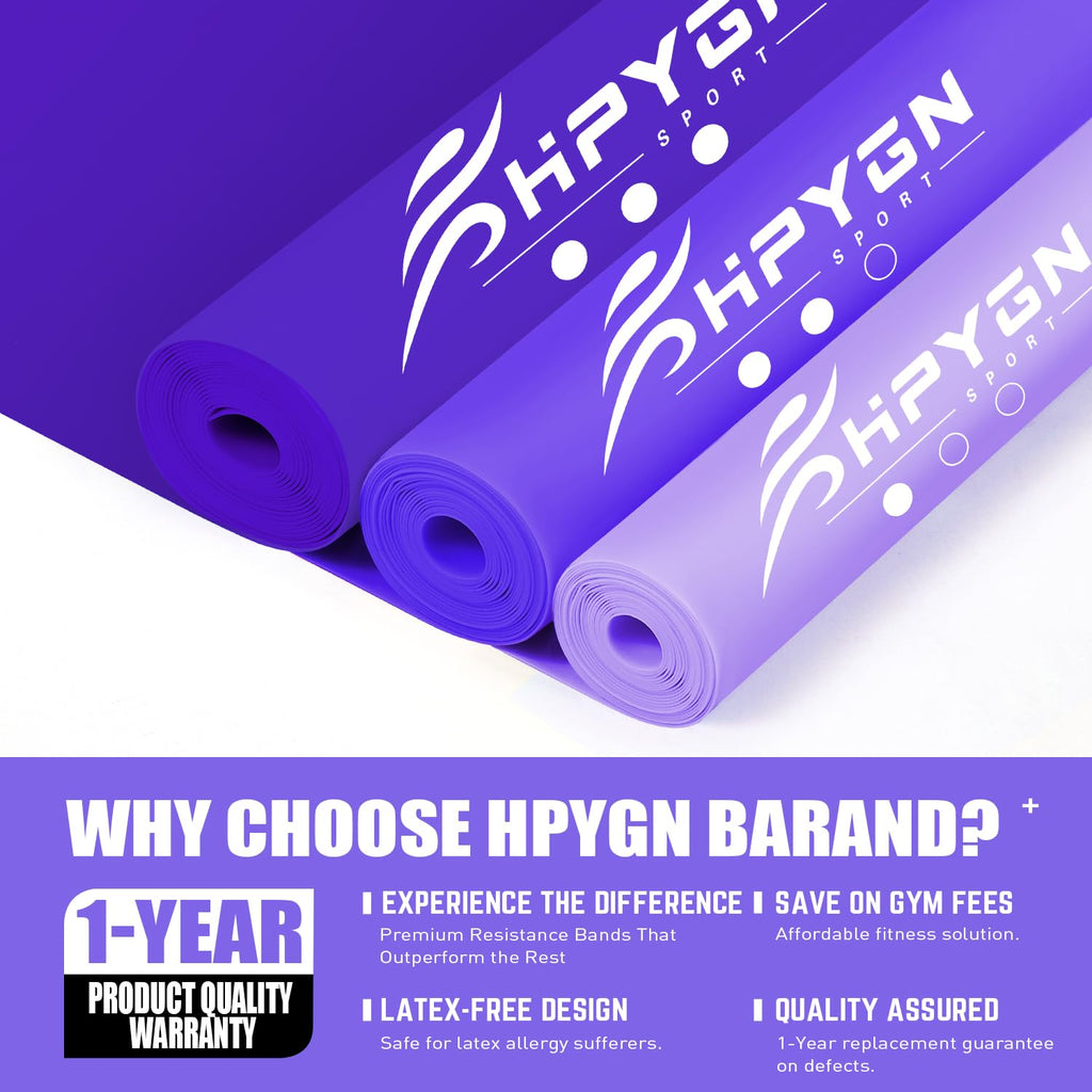 Resistance Bands, Exercise Bands, Physical Therapy Bands for Strength Training, Yoga, Pilates, Stretch Elastic Band with Different Strengths, Workout Bands for Home Gym