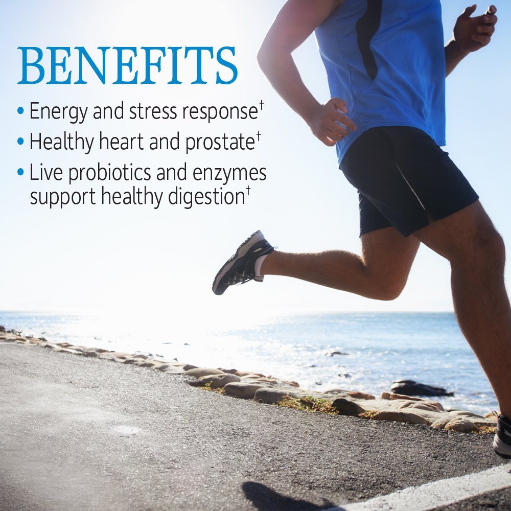 Garden of Life Vitamin Code Raw One for Men, Once Daily Multivitamin, 75 Capsules, One a Day Mens Vitamins Plus Fruit, Veggies & Probiotics for Mens Health, Vegetarian Multivitamins