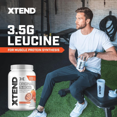 Xtend Original BCAA Powder 7g BCAA and 2.5g L-Glutamine, Sugar Free Post Workout Muscle Recovery Drink with Amino Acids for Men & Women, 30 Servings