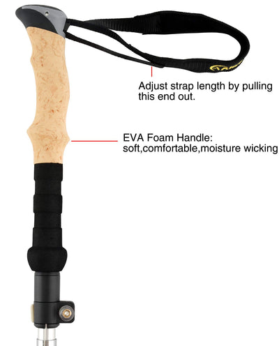 Aluminum Collapsible Ultralight Travel Trekking Hiking Pole for Men and Women (Fits 5'3" - 6'2")