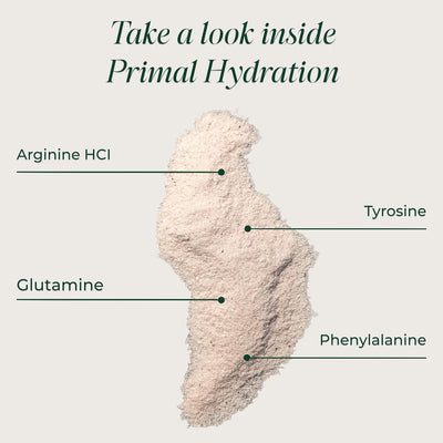 Primal Harvest Electrolytes Powder Packets Primal Hydration, Easy Open Packets, Energy Drink Mix (Lemon Berry, 30 Packs) (1 Bag)