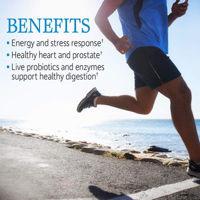 Garden of Life Vitamin Code Raw One for Men, Once Daily Multivitamin, 75 Capsules, One a Day Mens Vitamins Plus Fruit, Veggies & Probiotics for Mens Health, Vegetarian Multivitamins