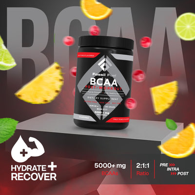 Fossil Fuel Sugar-Free BCAA Powder – Post-Workout Muscle Recovery with BCAAs, Glutamine, Vitamin B6, Amino Acids, Endurance & Hydration, Honeydew Watermelon (30 Servings)