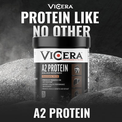 A2 Protein Powder, Peppermint Milkshake, 25 G Protein per Serving, Organic A2/A2 Whey Casein Blend With Probiotics and Celtic Sea Salt, Gluten Free Workout Supplement, Non GMO, 20 Serv, 27.4 Oz