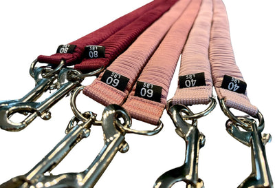 STAERK Pilates Suspension Training System - Premium Resistance Training Kit - At-Home Pilates for Strength & Flexibility - Resistance Bands Set for Home Gym, Travel, and Outdoors