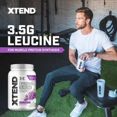 Xtend Original BCAA Powder 7g BCAA and 2.5g L-Glutamine, Sugar Free Post Workout Muscle Recovery Drink with Amino Acids for Men & Women, 30 Servings