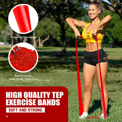 Resistance Bands, Exercise Bands, Physical Therapy Bands for Strength Training, Yoga, Pilates, Stretch Elastic Band with Different Strengths, Workout Bands for Home Gym