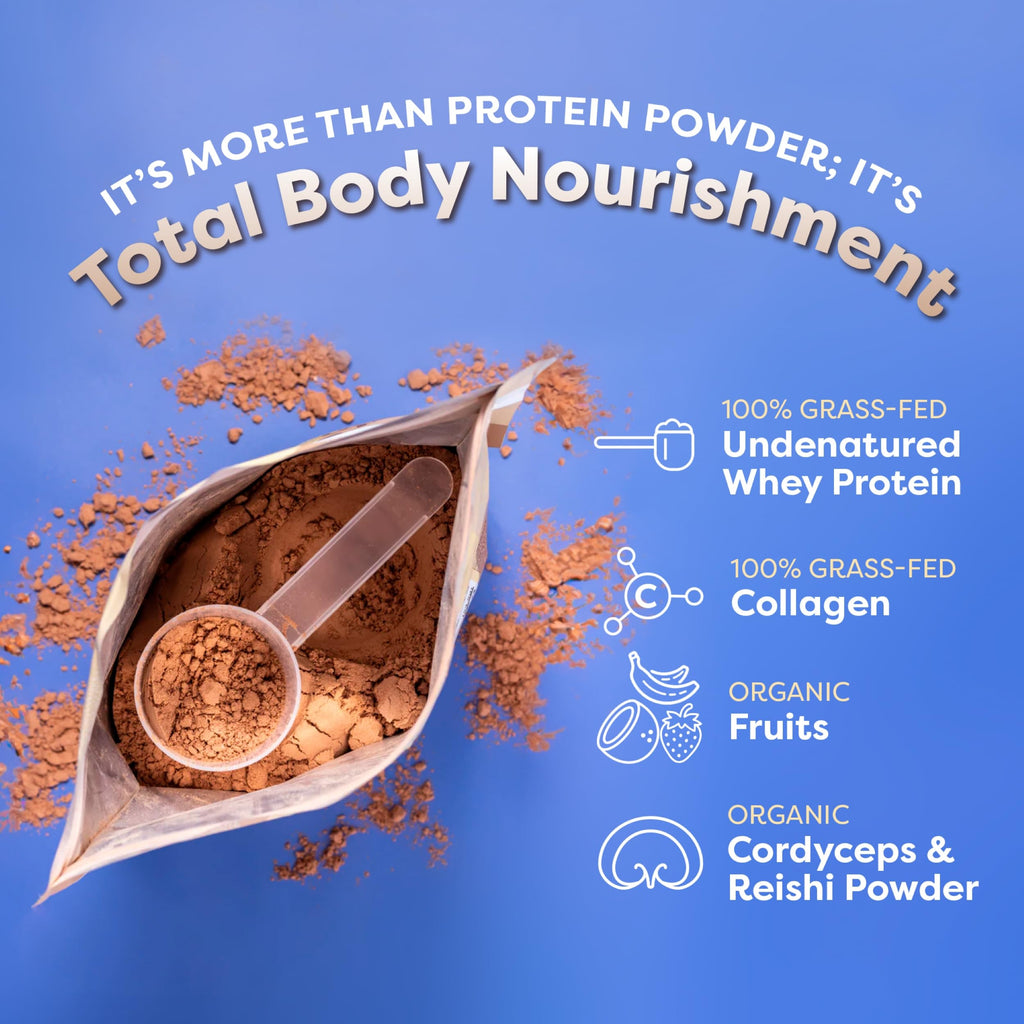 FlavCity Grass Fed Whey Chocolate Protein Powder - Chocolate Peanut Butter - 25g Protein & 10g Collagen - Made with Organic Cocoa & Coconut Milk - Gluten Free & No Added Sugars (20 Servings)