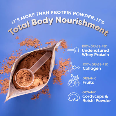FlavCity Grass Fed Whey Chocolate Protein Powder - Chocolate Peanut Butter - 25g Protein & 10g Collagen - Made with Organic Cocoa & Coconut Milk - Gluten Free & No Added Sugars (20 Servings)