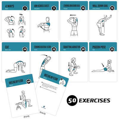 NewMe Fitness Stretching Workout Cards, Instructional Fitness Deck for Women & Men, Beginner Fitness Guide to Training Exercises at Home or Gym