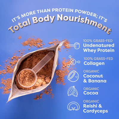 FlavCity Grass Fed Whey Chocolate Protein Powder - Chocolate Peanut Butter - 25g Protein & 10g Collagen - Made with Organic Cocoa & Coconut Milk - Gluten Free & No Added Sugars (20 Servings)