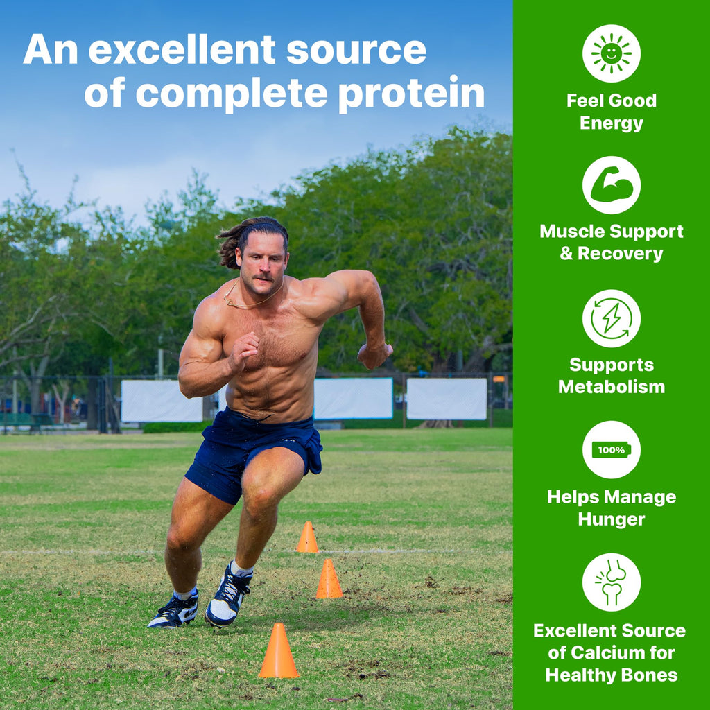 Orgain 30g High Protein Shake, Dairy Isolate Milk Protein, Vanilla Bean, 5g BCAAs, 1g Sugar Per Serving, Meal Replacement, Ready to Drink, Keto Friendly, Gluten-Free 11 Fl Oz (Pack of 12)