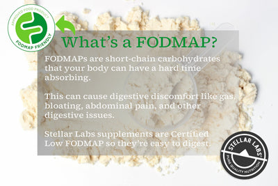 Stellar Labs Whey Protein Powder with BCAA's & Whey Isolate | Certified Low FODMAP, Non GMO, Gluten Free, Soy Free, Low Carb, Keto, with Stevia | All Natural Lean Post Workout Shakes | Salted Caramel