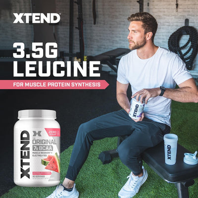 Xtend Original BCAA Powder 7g BCAA and 2.5g L-Glutamine, Sugar Free Post Workout Muscle Recovery Drink with Amino Acids for Men & Women, 30 Servings