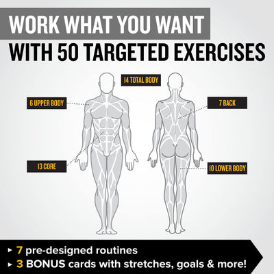 NewMe Fitness Stretching Workout Cards, Instructional Fitness Deck for Women & Men, Beginner Fitness Guide to Training Exercises at Home or Gym