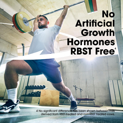 Optimum Nutrition Gold Standard Protein Shake, 24g Protein, Ready to Drink Protein Drinks, Chocolate, 11 Fl Oz, 12 Count (Pack of 1) (Packaging May Vary)