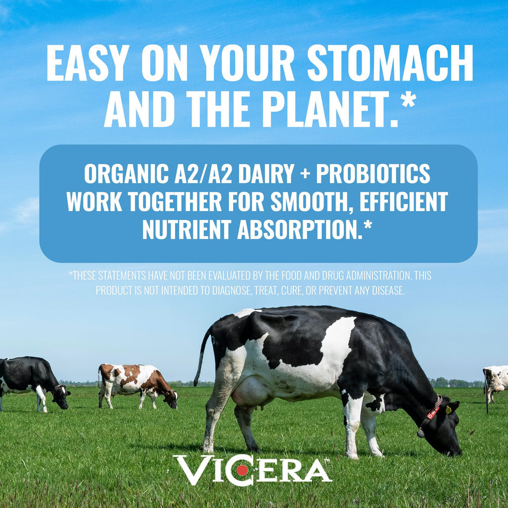 A2 Protein Powder, Peppermint Milkshake, 25 G Protein per Serving, Organic A2/A2 Whey Casein Blend With Probiotics and Celtic Sea Salt, Gluten Free Workout Supplement, Non GMO, 20 Serv, 27.4 Oz