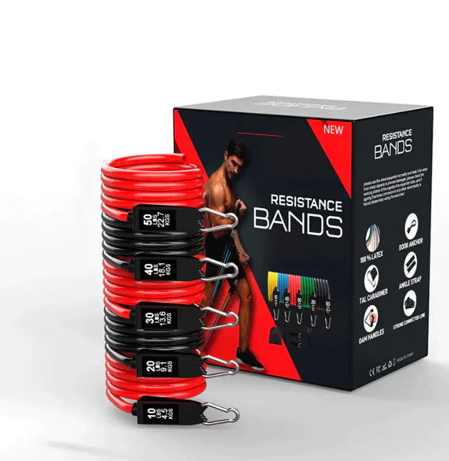 Fitness Band