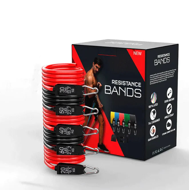Fitness Band